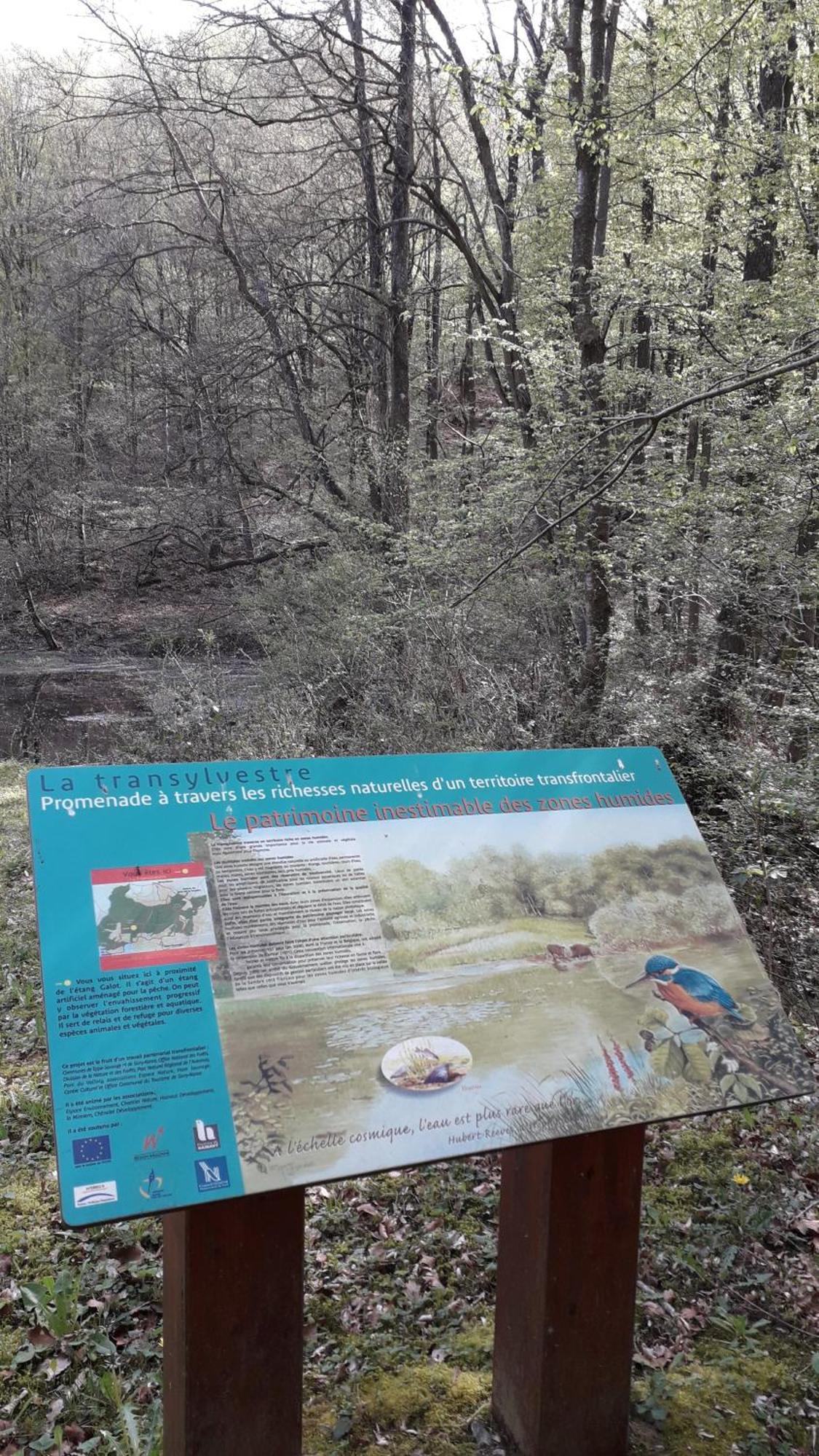 Le Clos Fleuri Sautin Kültér fotó